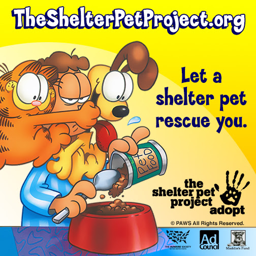 Let a shelter pet rescue you.