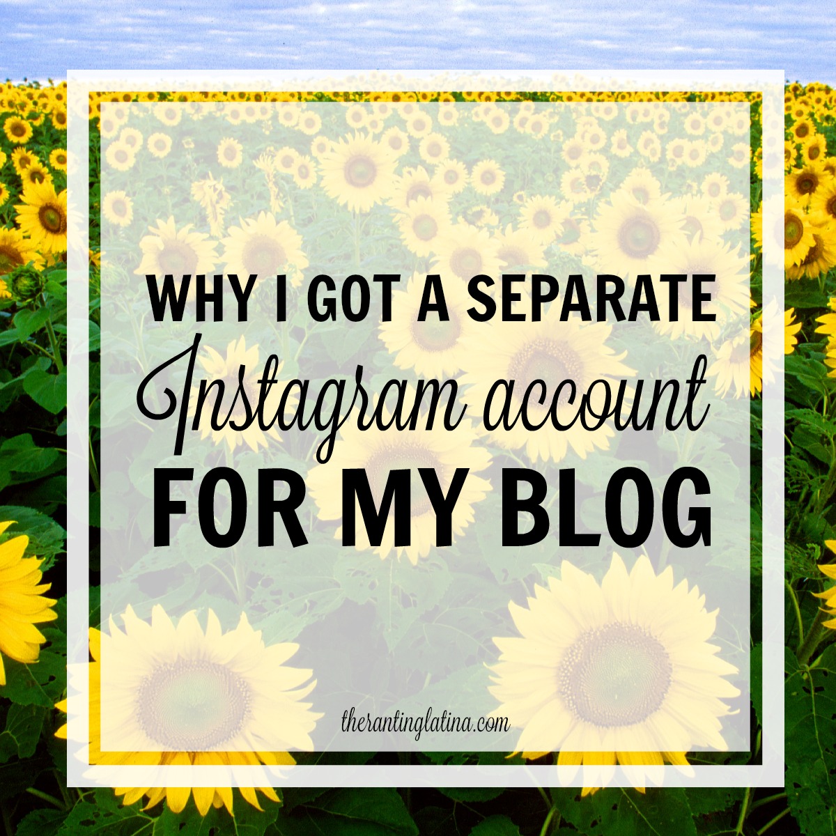 Creating a separate Instagram account for your blog is very important! You should consider separating your personal IG account from your blog's.