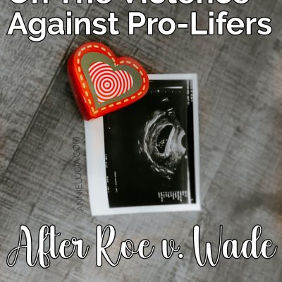 On The Violence Against Pro-Lifers After Roe v. Wade